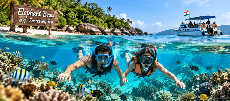 Elephant Beach Snorkelling Trip